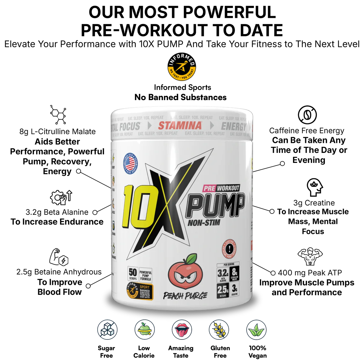 10X Pump 600g