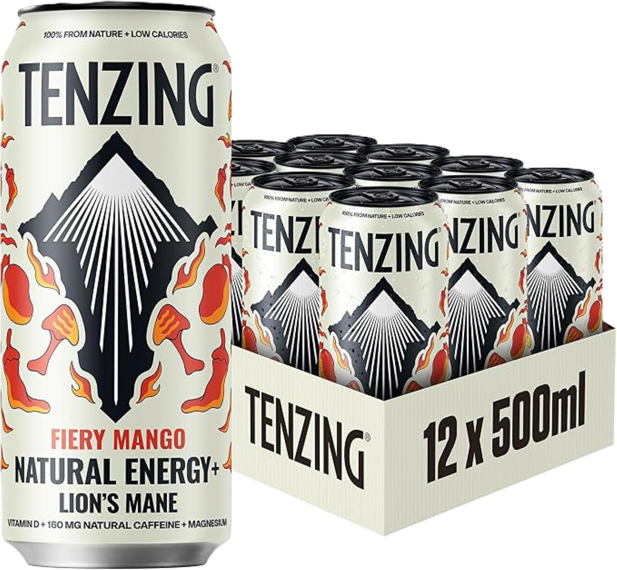 Tenzing Natural Energy+ 12x500ml